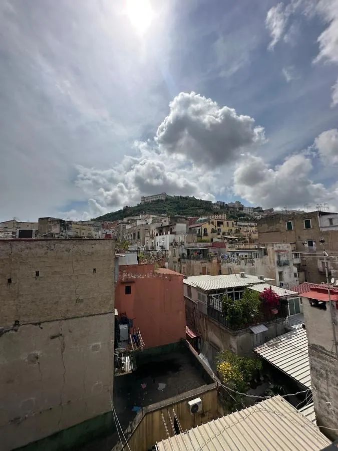 Terrazze Toledo Apartment Naples 0*,